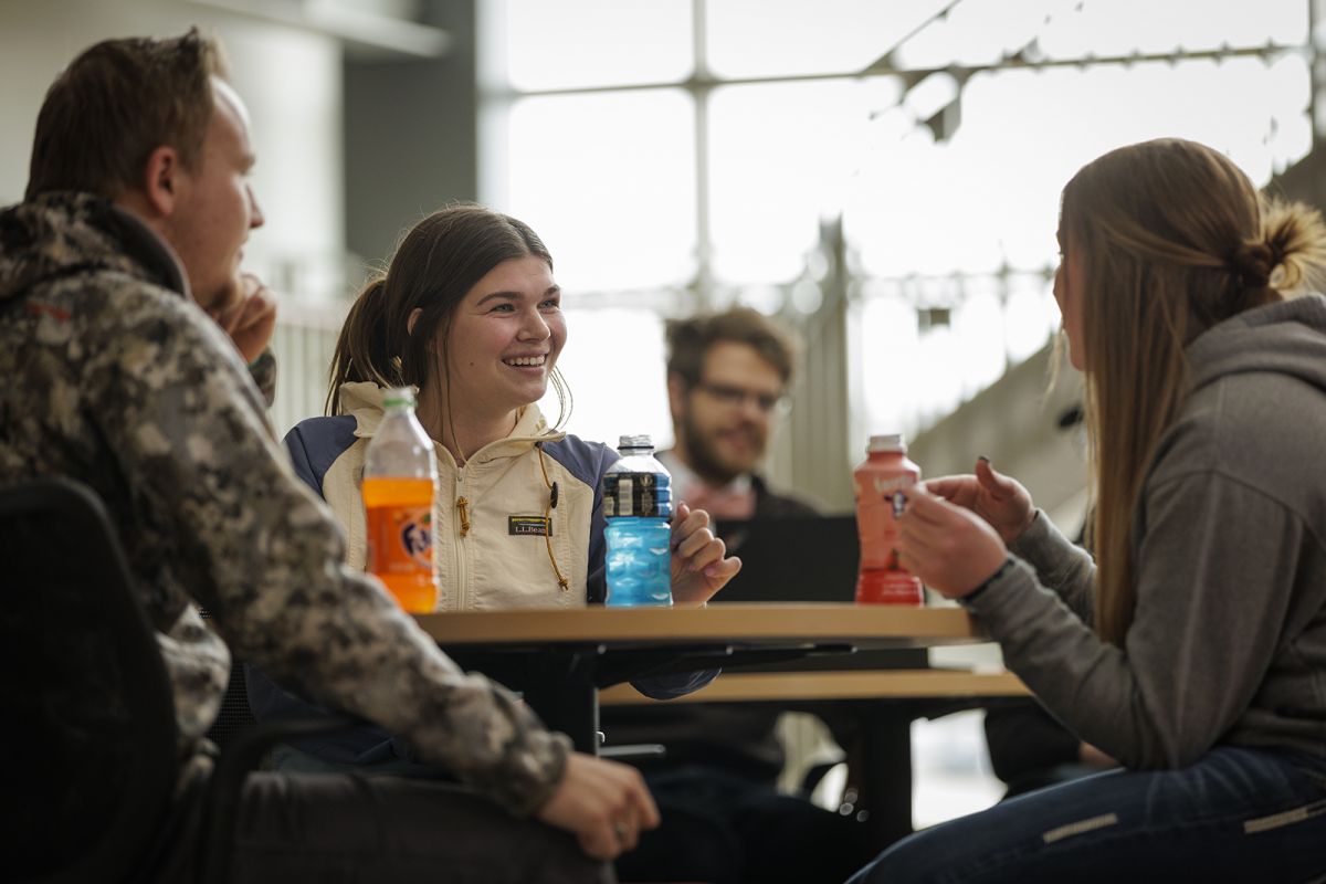 Group of students discussing project